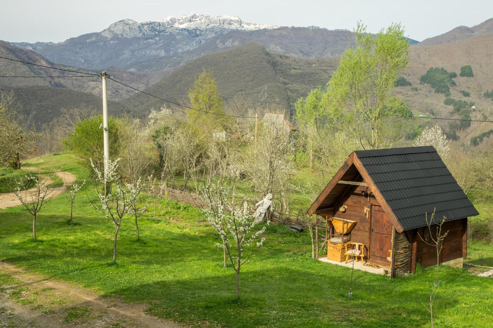Djurdjevina Family Farm Villa Kolašin Eksteriør bilde