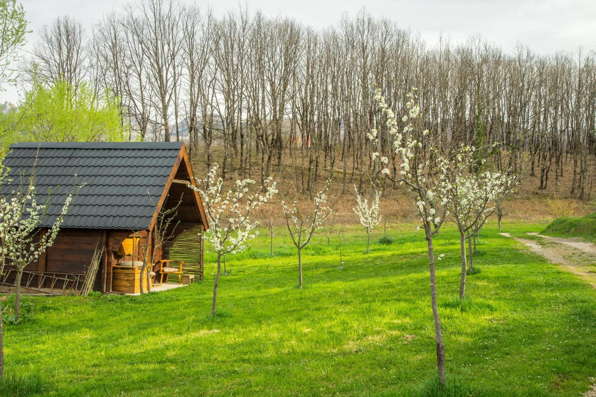 Djurdjevina Family Farm Villa Kolašin Eksteriør bilde