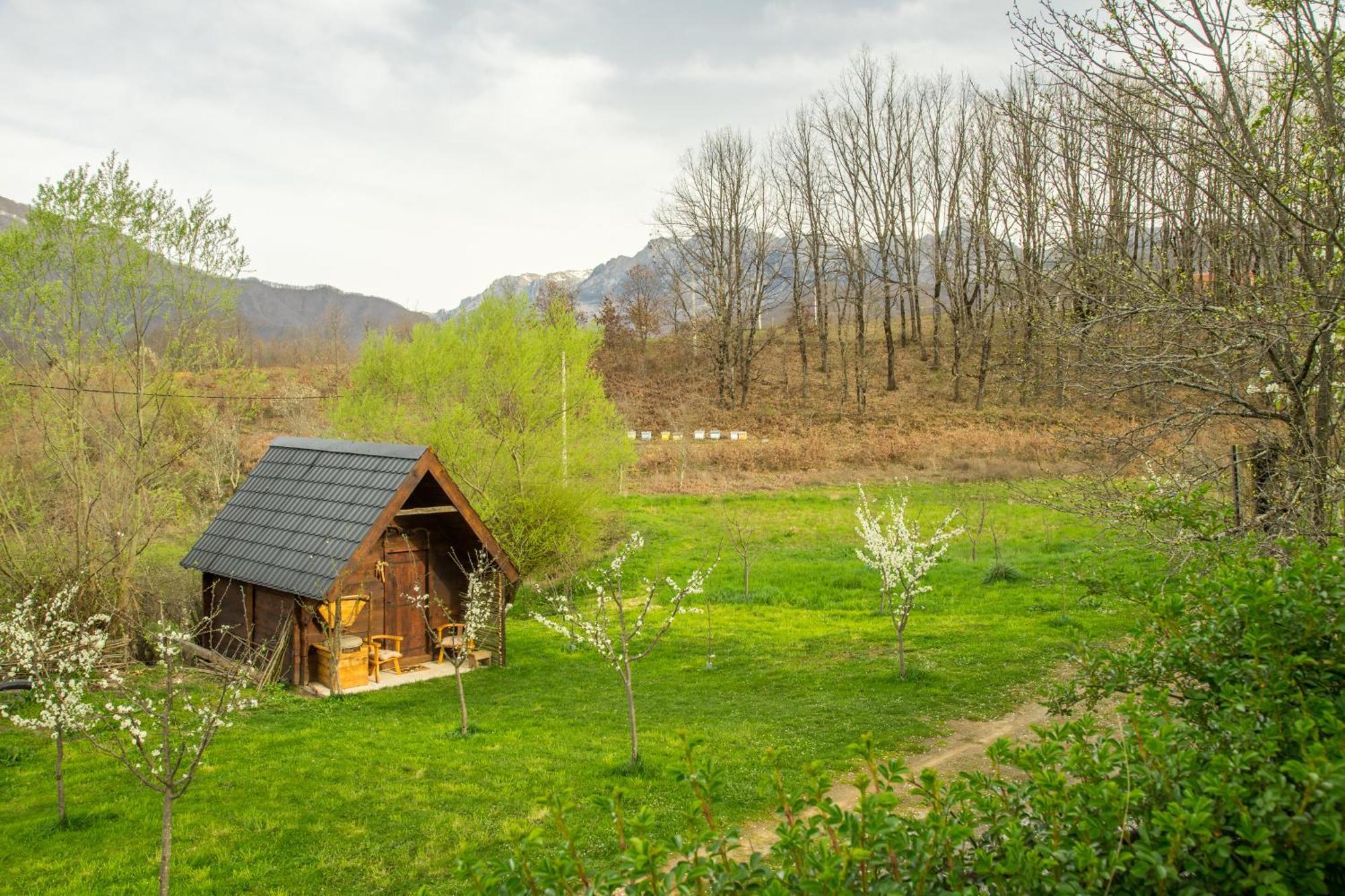 Djurdjevina Family Farm Villa Kolašin Rom bilde