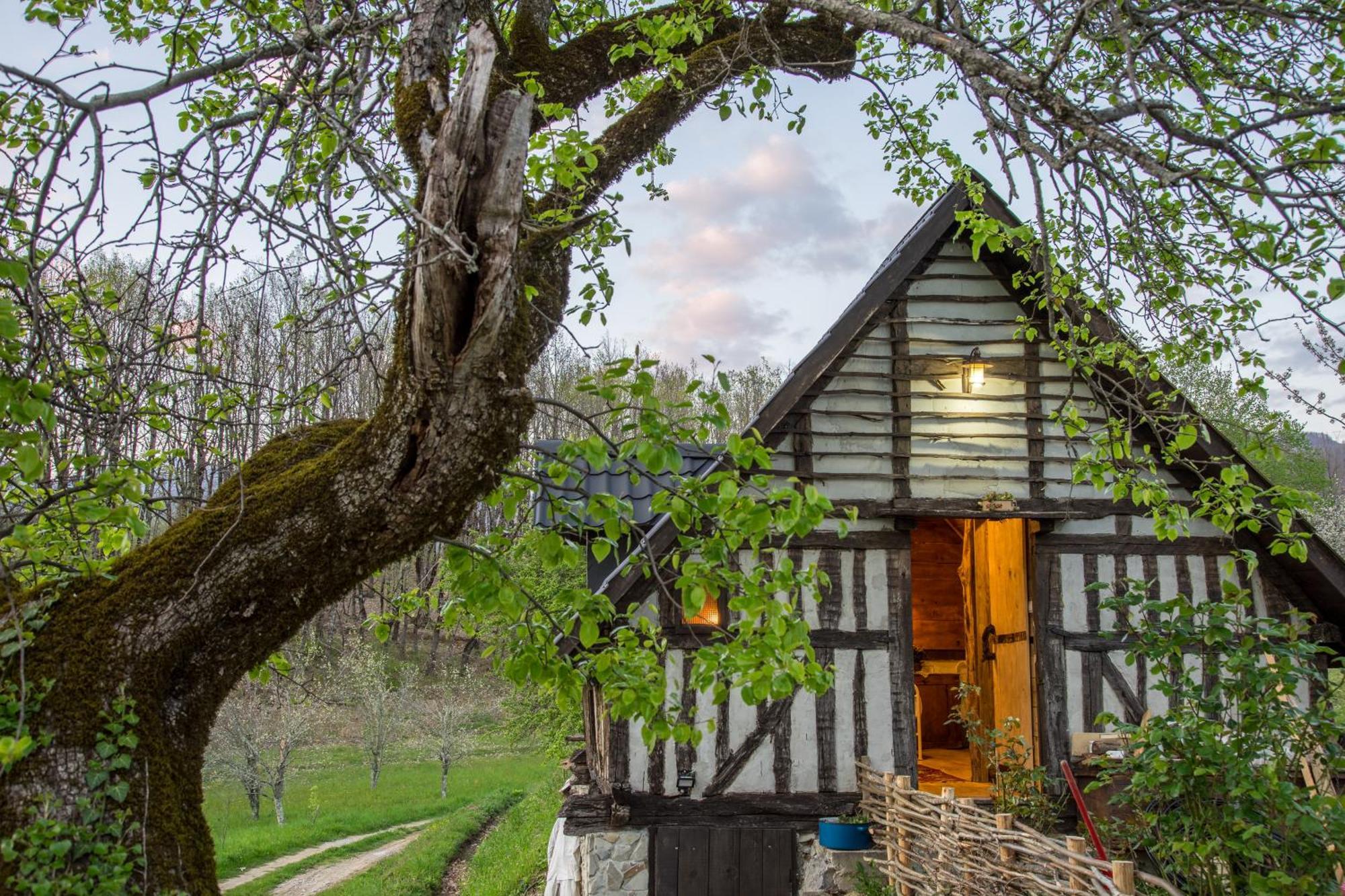 Djurdjevina Family Farm Villa Kolašin Rom bilde
